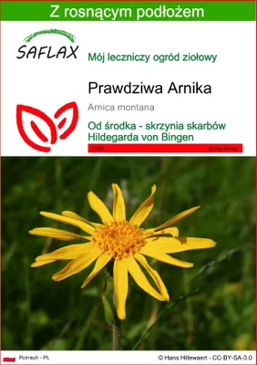 Zdjęcie produktu dla SAFLAX - Prawdziwa Arnika - 40 Nasiona - Z podłożem uprawowym wolnym od zarazków - Arnica montana