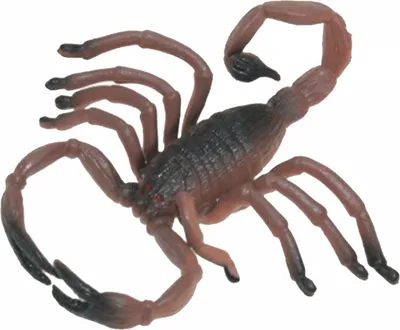 Produktbild von Kleiner Kunststoff Skorpion 8cm als Dekoration für Halloween
