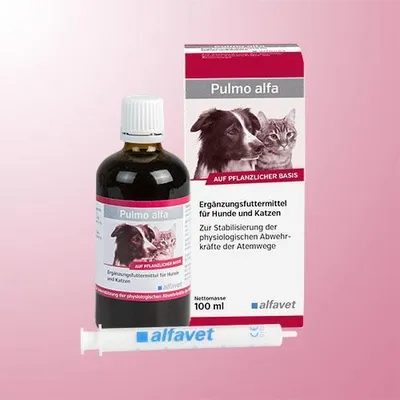 Produktbild von Pulmo Alfa Ergänzungsfutterm.flüss.f.Hunde/katzen 100 ml