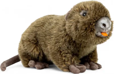 A plush toy beaver or nutria is shown against a white background.