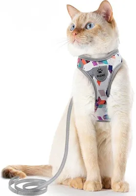 Produktbild von Famanu Katzenharness und Leinen-Set - Verstellbar, grau, Größe S