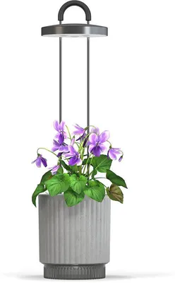 Obrázek produktu pro Click and Grow HydroVase od Ermonix, šedá
