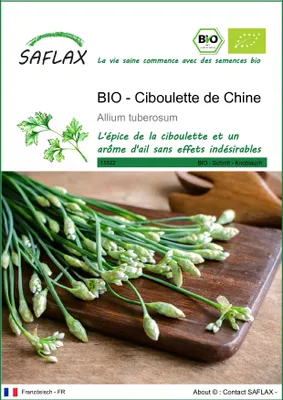 Image de SAFLAX  -- Ciboulette de Chine - 100 graines - Allium