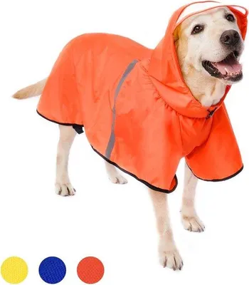 Produktbild von Wasserdichte Hunderegensjacke mit Reflektorstreifen und verstellbarer Kapuze