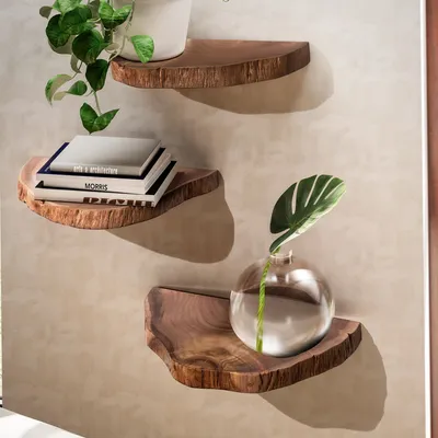 Produktbild von FineBuy Wandregal 3er Set Akazie Vollholz Hängeregal Baumscheibe Natur Pflanzentreppe für die Wand Schweberegal Hängend mit Baumkante Blumentreppe
