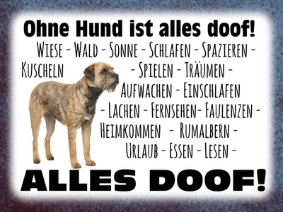 Produktbild von vianmo Holzschild 30x40 cm ohne Hund ist alles doof