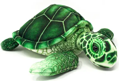 Image de Cornelissen - Doudou - Tortue de mer verte - 25 cm