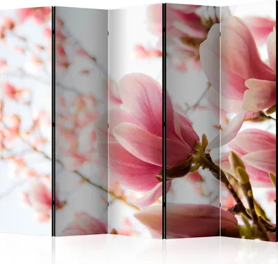 Produktbild von 5-teiliger Einseitiger Vlies Paravent - Pink magnolia II 225x172 cm Blumen b-C-0467-z-c