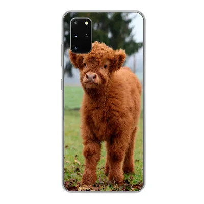 Produktbild von MuchoWow® Handyhülle Schutzhülle Hülle für Samsung Galaxy S20 Plus Scottish Highlander - Kalb - Gras Silikon Softcase Handy Hülle - Hartschale