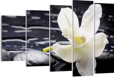 Produktbild von Bild auf Leinwand - Leinwandbild - Spa Orchidee Steine Wasser - 150x100cm - Wand Bild - Wanddeko - Leinwanddruck - Bilder - Kunstdruck - Wanddekoration - Leinwand bilder - Wandkunst - EG150x100-0444