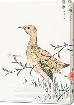Obrázok produktu pre 70 x 100 cm Červenonohý, Kashu Japonský vintage obraz do obývacej izby
