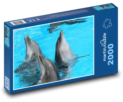 Obrázek produktu pro martinpuzzle - Puzzle 2000 - Delfíni v bazénu