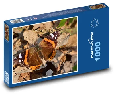 Obrázek produktu pro martinpuzzle - Puzzle 1000 - Motýl - admirál, les