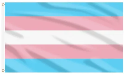 Produktbild von Transgender-Flagge, 150 x 90 cm - Doppellagig mit Messingösen