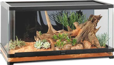 Produktbild von Terrarium, Paludarium Exo Terra EX Vista 120XL - 120 x 60 x 60 cm Panoramaterrarium mit abgerundete Glasfrontecken für e
