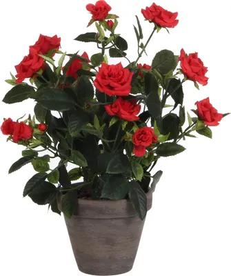 Zdjęcie produktu dla Mica Decorations Sztuczny krzew róży w doniczce Stan - H33 x Ø25 cm - Czerwony