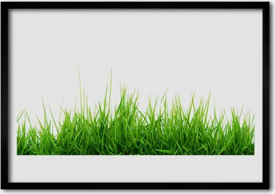 Produktbild von Bild 100x70 MDF-Rahmen Wandkunst Gras Natur Pflanze