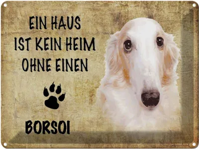 Produktbild von vianmo Blechschild 30x40 cm Borsoi Hund ohne kein Heim
