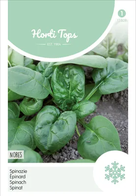 Produktbild von Spinat Nores | Spinatsamen von Hortitops