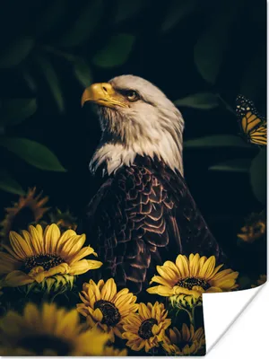 Produktbild von MuchoWow® Poster Adler - Gelb - Blumen - Botanisch 60x80 cm - Schlafzimmer Dekoration