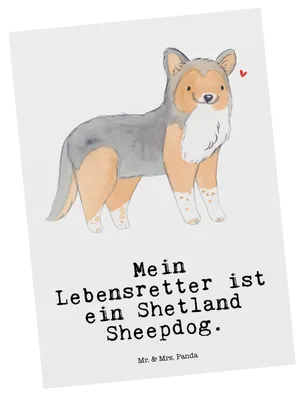 Produktbild von Mr. & Mrs. Panda Postkarte Shetland Sheepdog Lebensretter - Weiß - Geschenk, Postkarten, bildkarte, Sheltie, Ansichtskarten, Grußkarte, Ansichtskarte