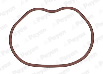 Produktbild von PAYEN JD6166 Ansaugkrümmer-Dichtung für FORD Fiesta Mk5 Schrägheck (JH1, JD1, JH3, JD3) Focus II Schrägheck (DA, HCP, DP) Focus II Kombi (DA, FFS, DS)