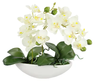 Produktbild von Kunstorchidee in Topf 27 cm