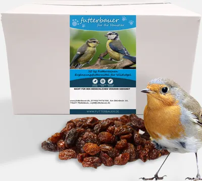 A product shot of bird food (raisins) with a robin in the foreground and a box with product information in the background.