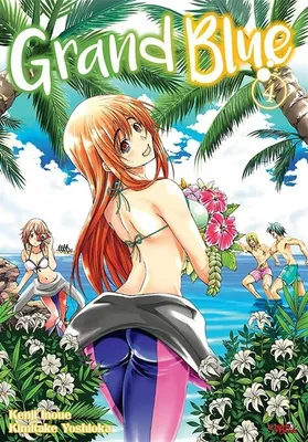 Obrázok produktu pre Grand Blue. Tom 4