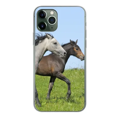 Produktbild von MuchoWow® Handyhülle Schutzhülle Hülle für iPhone 11 Pro Pferde - Tiere - Gras Silikon Softcase Handy Hülle - Handy