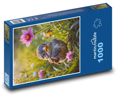 Zdjęcie produktu dla Puzzle 1000 Pisklę wśród kwiatów - martinpuzzle