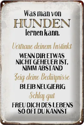 Produktbild von Blechschild Spruch 20x30cm was man von Hunden lernen kann