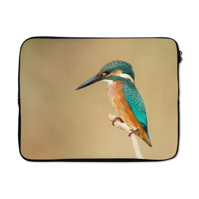 Produktbild von MuchoWow® Laptop Hülle 15 Zoll Eisvogel - Tiere - Vogel Laptoptasche - Laptoptasche - Sleeve - Rundum-Schutz