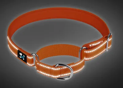 Immagine prodotto di Collare di sicurezza regolabile per cani - Morbido neoprene imbottito - Nylon traspirante - Per cani di piccola, media e grande taglia (L rosso)