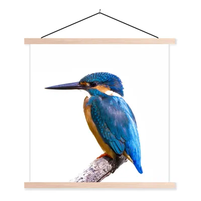 Produktbild von MuchoWow® Textilposter Eisvogel - Federn - Zweig - Blau 40x40 cm mit holzfarbenen Rahmen - Posterleiste