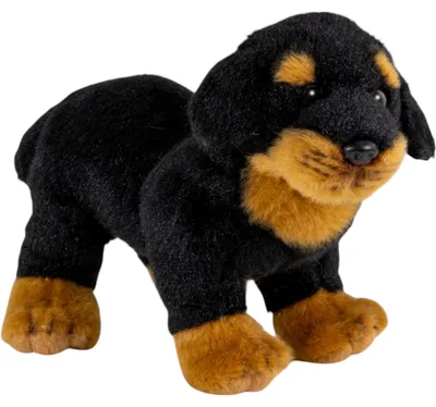 Produktbild von Carl Dick Rottweiler stehend ca. 20cm, Plüschtier, Stofftier, Kuscheltier 3680