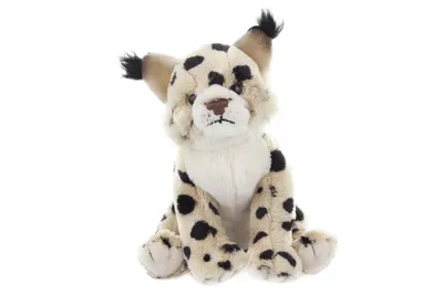Produktbild von Uni-Toys Plüschtier Luchs F40462 - Uni-Toys Naturgetreues Kuscheltier Luchs 17cm