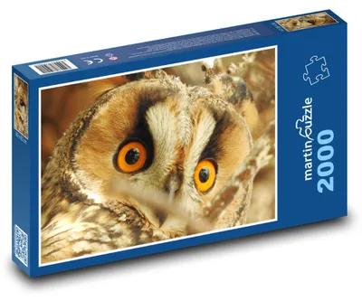 Produktbild von martinpuzzle - Puzzle 2000 Teile - Ohrenkauz