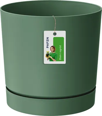 Produktbild von Kunststoff-Pflanzgefäß TUBOS P mit Schale dunkelgrün matt 17,8 cm