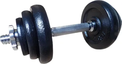 Obrázek produktu pro ACRA nakládací činka jednoruční set 2 x 10 kg (20 kg) pogumované