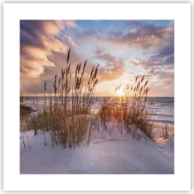 Produktbild von Poster - Poster ohne Rahmen - Westen auf der Strand - 40x40 cm - Wand Bild - Wanddeko - Wandbilder - Kunstposter - Wandposter - Bilder - Kunstdruck - Wanddekoration - Wandbild - P2XAC40x40-4710