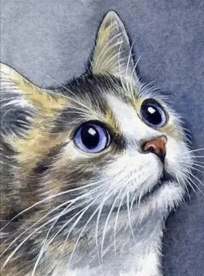 Image de Peinture par numéros - 30 x 40 cm Chat - Titanum