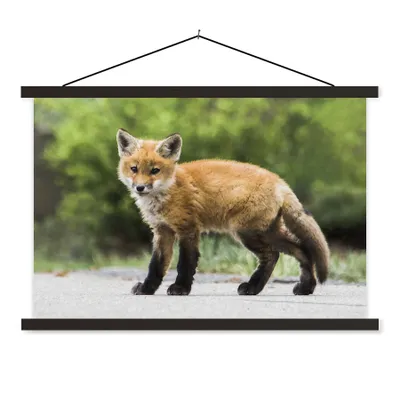 Produktbild von MuchoWow® Textilposter Fuchs - Welpe - Straße 150x100 cm mit schwarzem Rahmen - Schlafzimmer