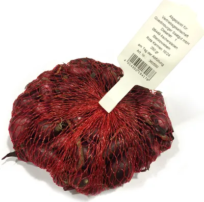 Produktbild von Steckzwiebel Rote Karmen (250 g) | Steckzwiebeln von Quedlinburger