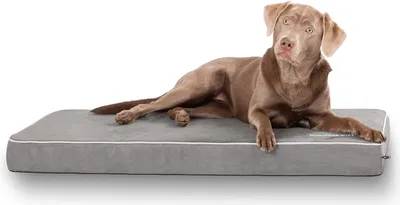 Produktbild von Knuffelwuff Hundematte Maui aus Velours mit 9cm Schaumstoff Grau XXL 110 x 66