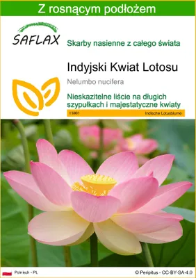 Zdjęcie produktu dla SAFLAX - Indyjski Kwiat Lotosu - 8 Nasiona - Z podłożem uprawowym wolnym od zarazków - Nelumbo nucifera