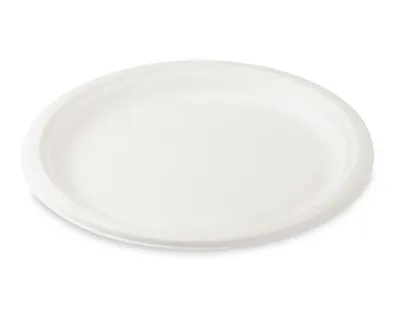 Produktbild von 250x  Grillteller Fleischteller rund aus Zuckerrohr Bagasse Ø 26 cm