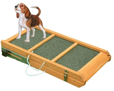 Produktbild von Coemo Hunde Rampe klappbar Aufstiegshilfe für Haustiere - Anti-Rutsch-Belag