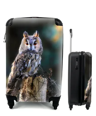 Produktbild von MuchoWow® Koffer Handgepäck Trolley Rollkoffer Kleine Reisekoffer mit 4 Rollen - Eule - Herbst - Vogel - Äste - Cabin Size < 55x40x23 cm & 55x40x20 cm - Fotokoffer - Kabinenkoffer - Boardgepäck - Reise-Box - Reisekoffer - Reisegepäck - Koffer mit Bild - Trolley für Kinder