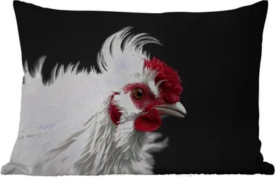 Produktbild von MuchoWow® Outdoor Kissen - Huhn - Vogel - Schwarz - 50x30 cm - Wetterfest - Lounge Kissen - Sofa kissen - Wohnzimmer Dekoration